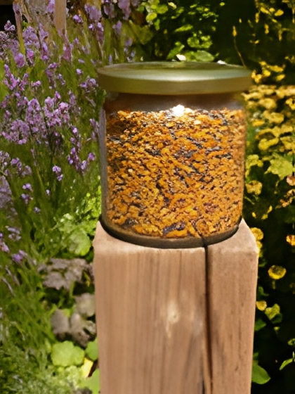 Blütenpollen 125g (bitte trocken lagern!)