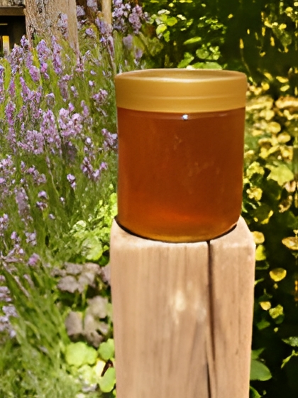 Orangenblütenhonig 500g