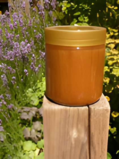 Sommerblütenhonig cremig 500g