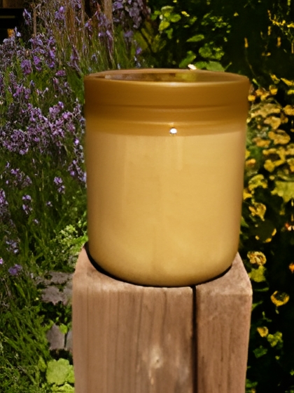 Gelée Royale im Honig 500g