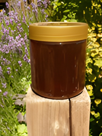 Propolis im Honig 500g