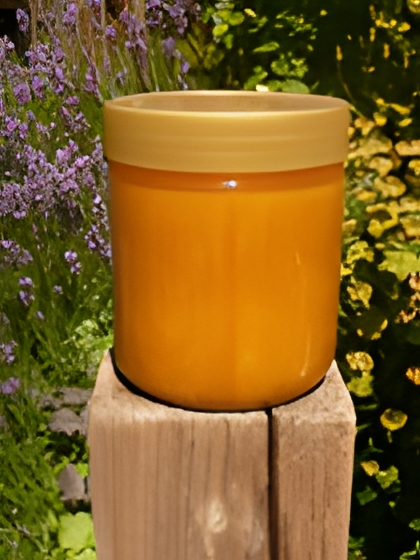 Sanddorn im Honig 500g