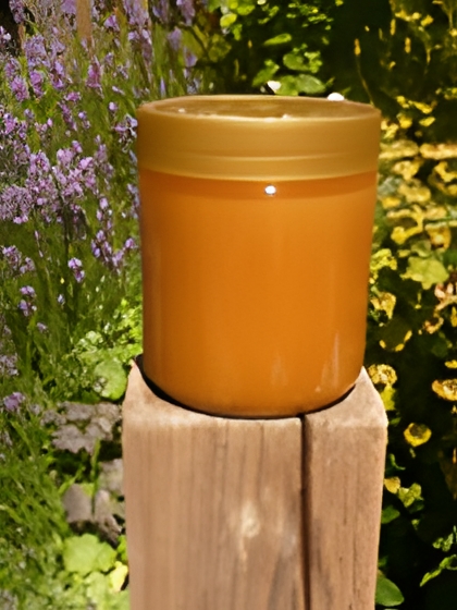 Waldhonig naturkandiert 500g