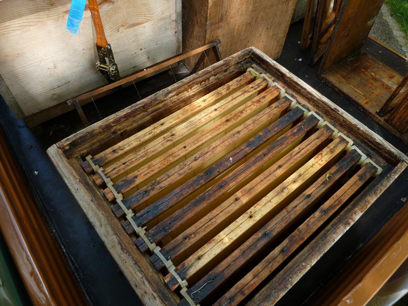 Apfelblütenfest Stand