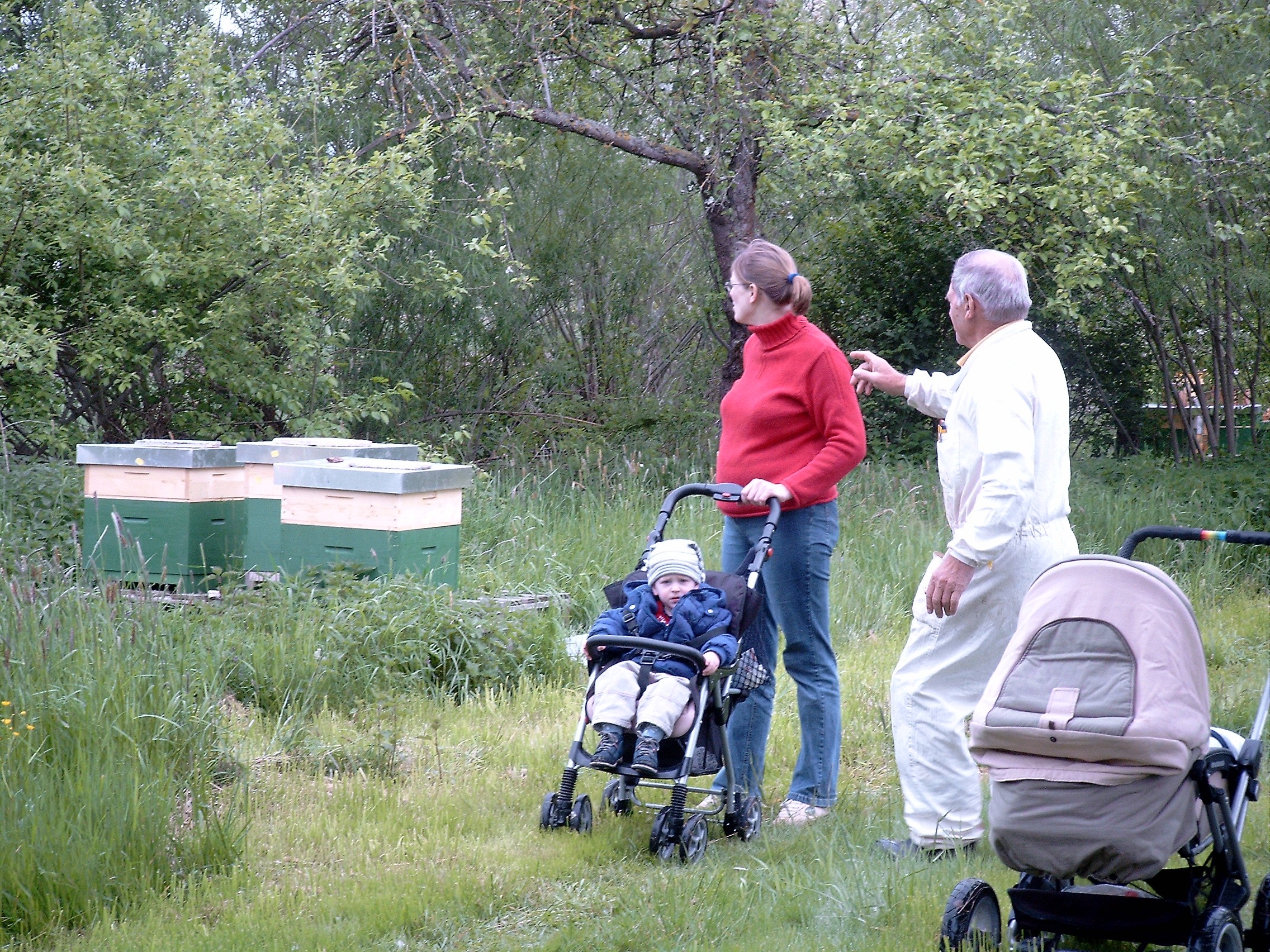 Bienenstand Streuobst